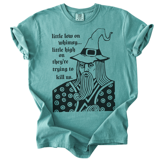 Little Low on Whimsy Wizard Tee