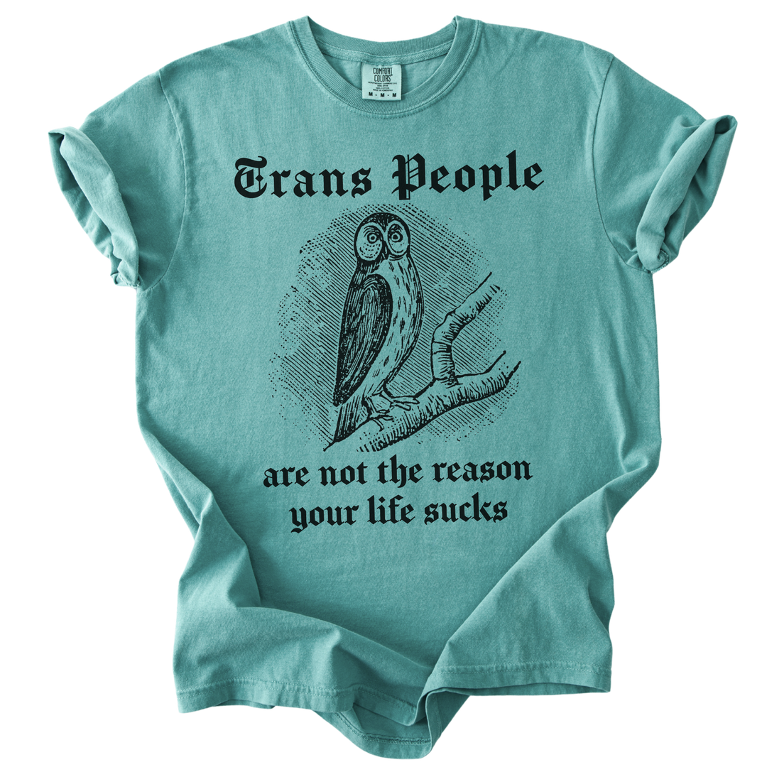 Trans People Are Not The Reason Owl Tee