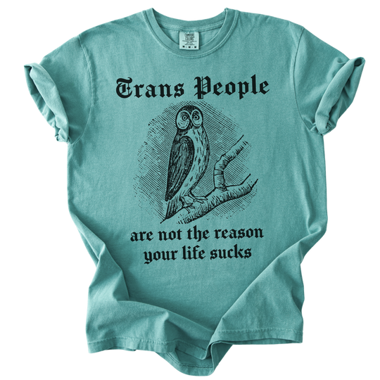 Trans People Are Not The Reason Owl Tee
