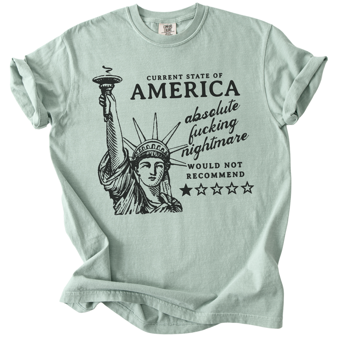 America: Would Not Recommend Tee