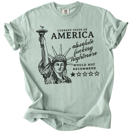 America: Would Not Recommend Tee
