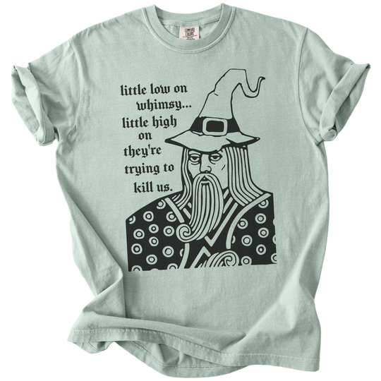 Little Low on Whimsy Wizard Tee
