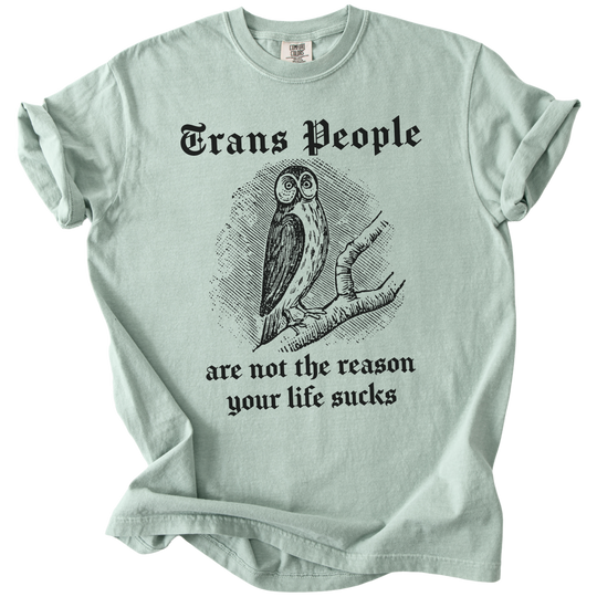 Trans People Are Not The Reason Owl Tee