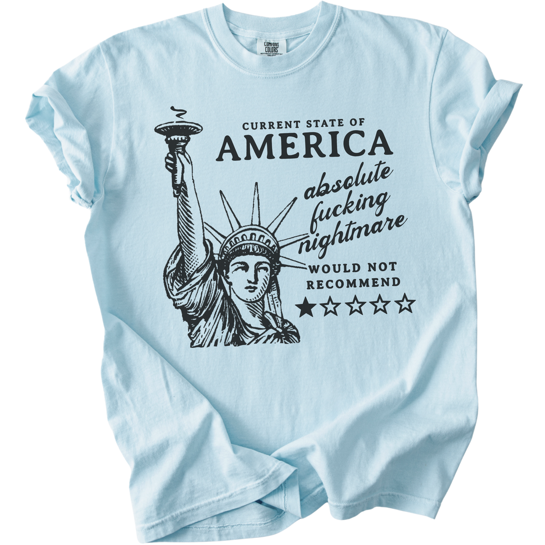 America: Would Not Recommend Tee