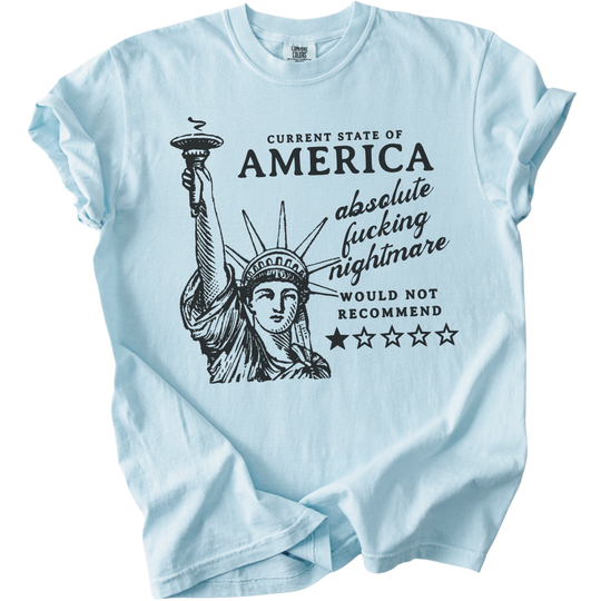 America: Would Not Recommend Tee