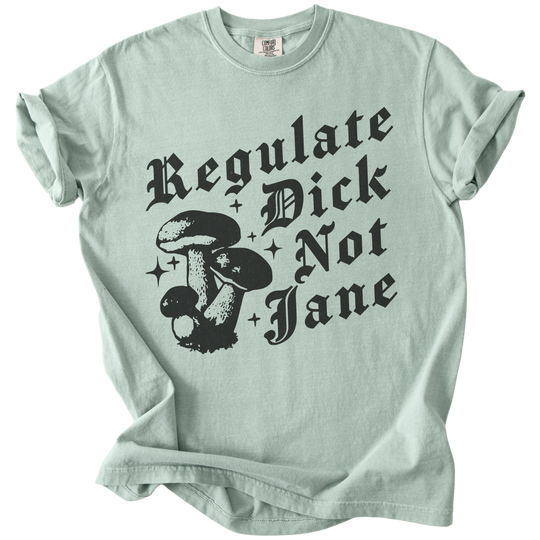 Regulate Dick Not Jane Tee