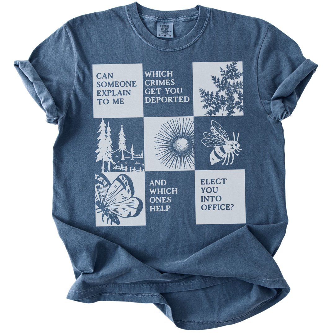 Which Crimes Get You Deported Vs Elected Tee