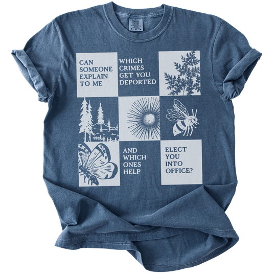 Which Crimes Get You Deported Vs Elected Tee
