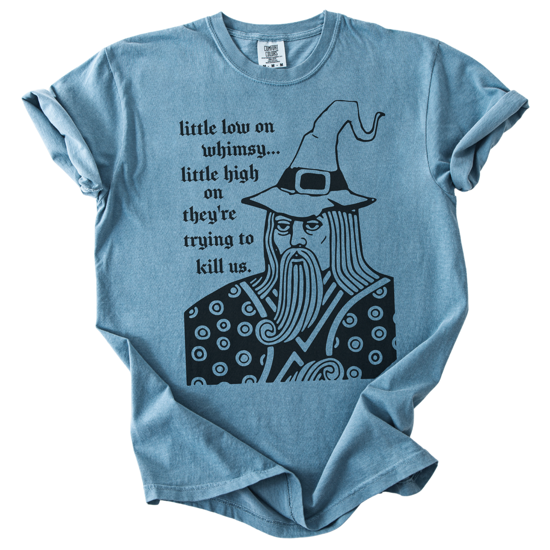 Little Low on Whimsy Wizard Tee