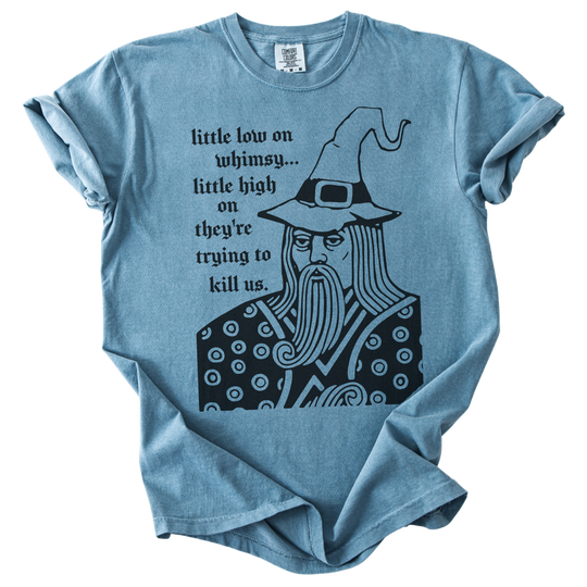 Little Low on Whimsy Wizard Tee