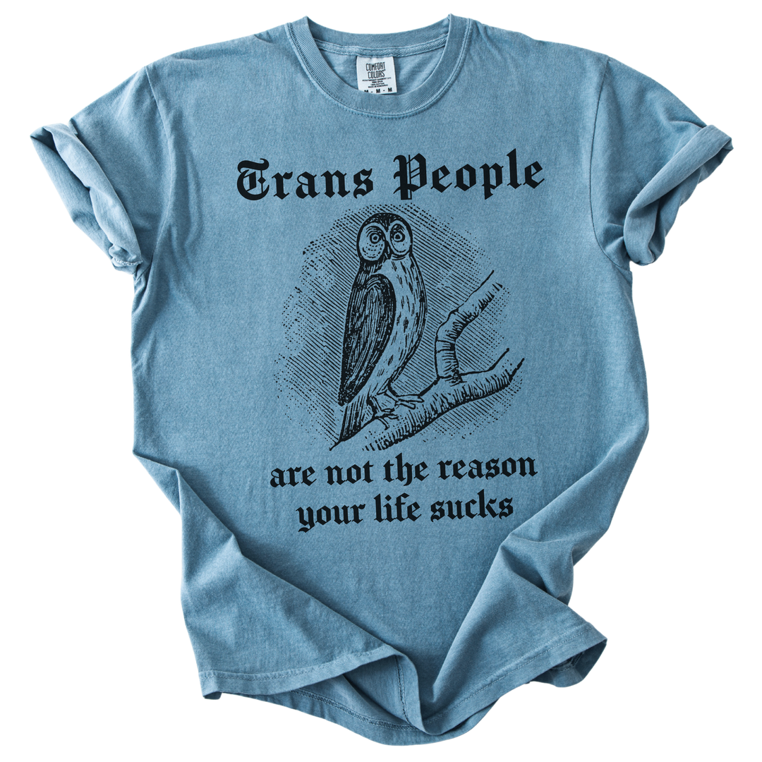 Trans People Are Not The Reason Owl Tee