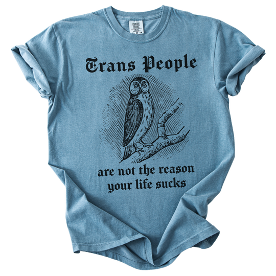 Trans People Are Not The Reason Owl Tee