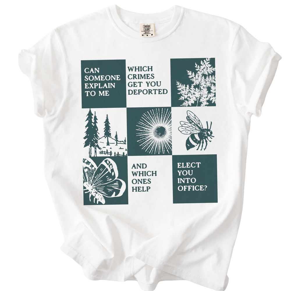 Which Crimes Get You Deported Vs Elected Tee