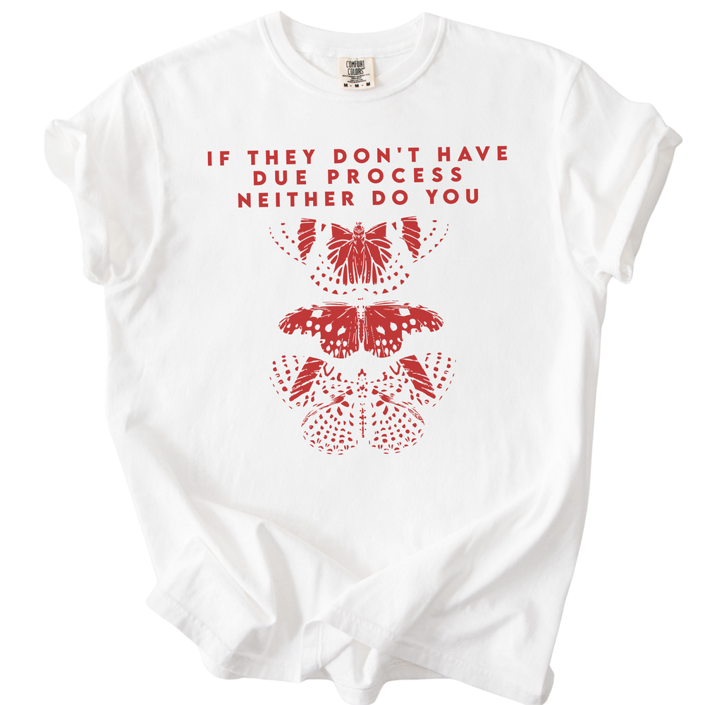 If They Don't Have Due Process Neither Do You Tee