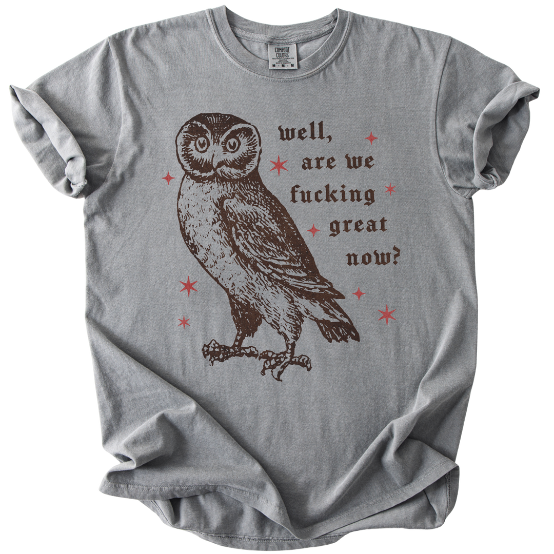 Well, Are We Fucking Great Now? Tee