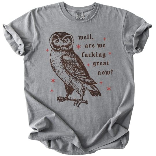 Well, Are We Fucking Great Now? Tee
