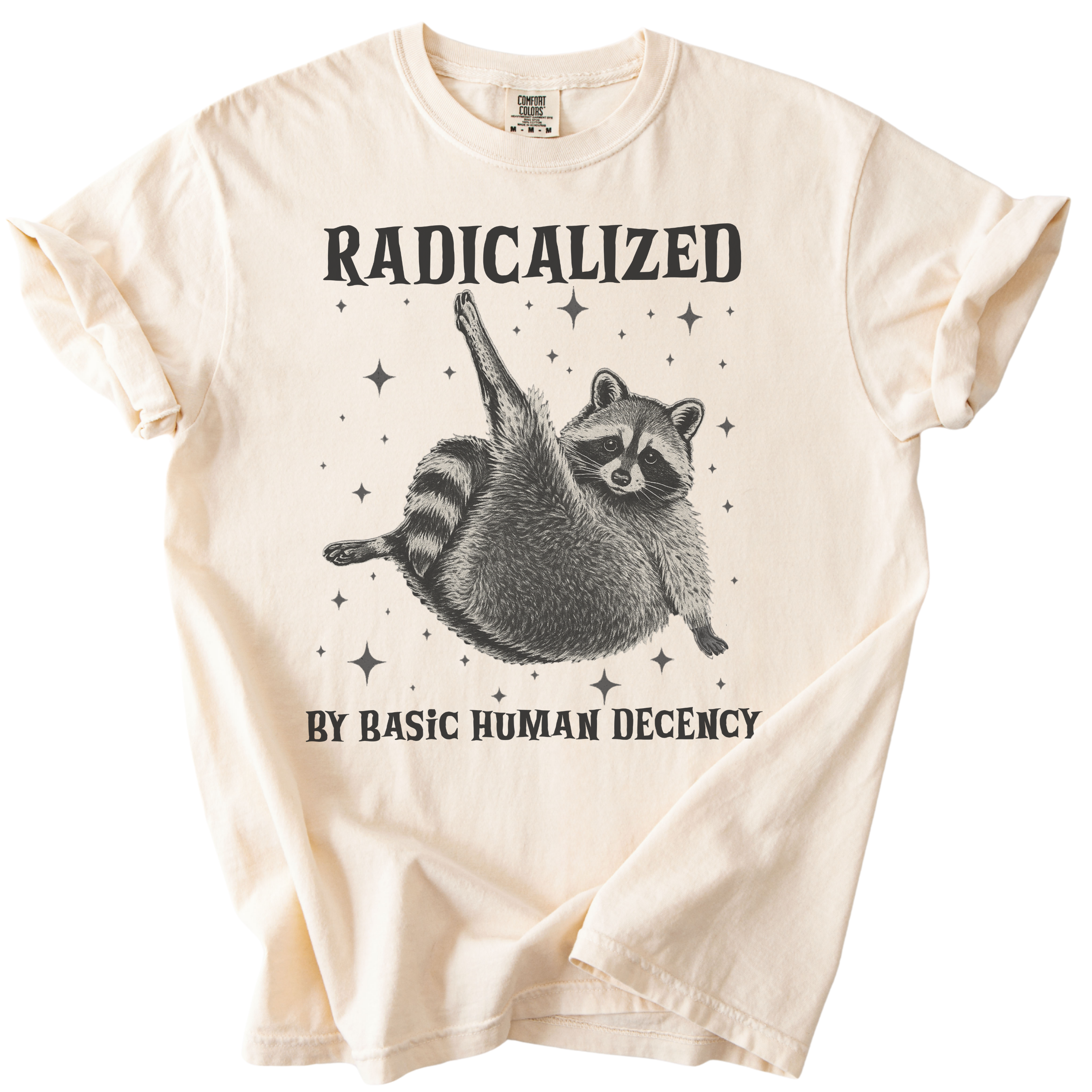 Raccoon Radicalized by Basic Human Decency Tee
