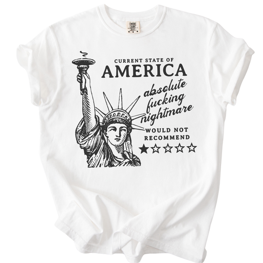America: Would Not Recommend Tee