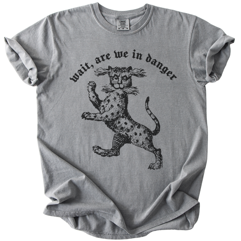 Wait, Are We in Danger Tee