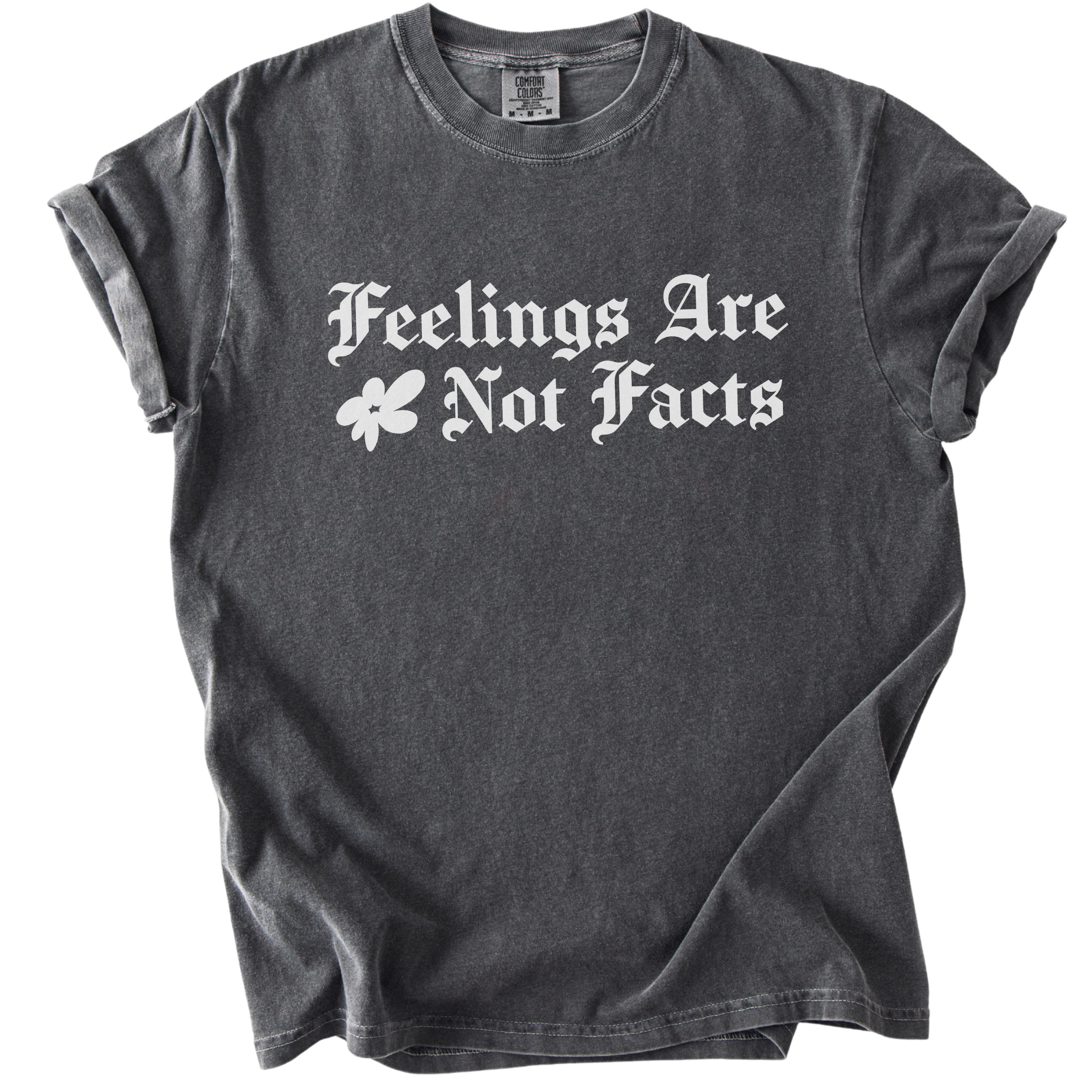 Feelings Are Not Facts Tee
