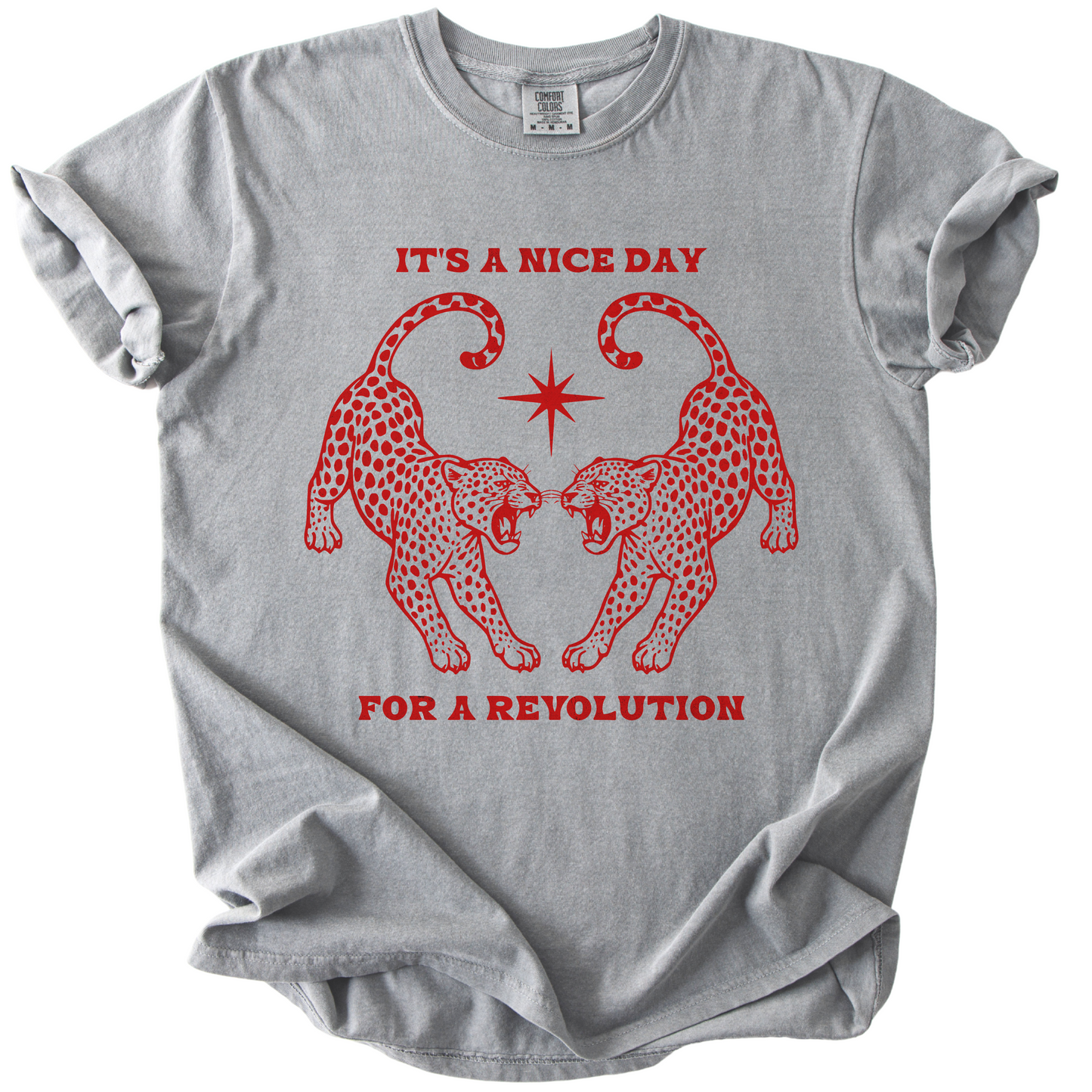 Nice Day For A Revolution Vintage Dyed Tee