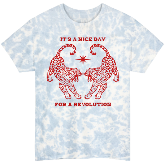 Nice Day For A Revolution Tie-Dye Tee