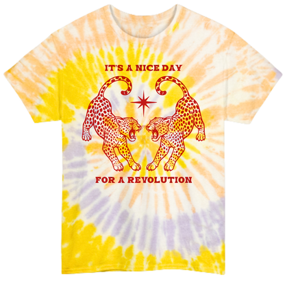 Nice Day For A Revolution Tie-Dye Tee