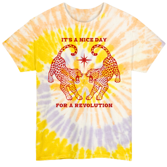 Nice Day For A Revolution Tie-Dye Tee