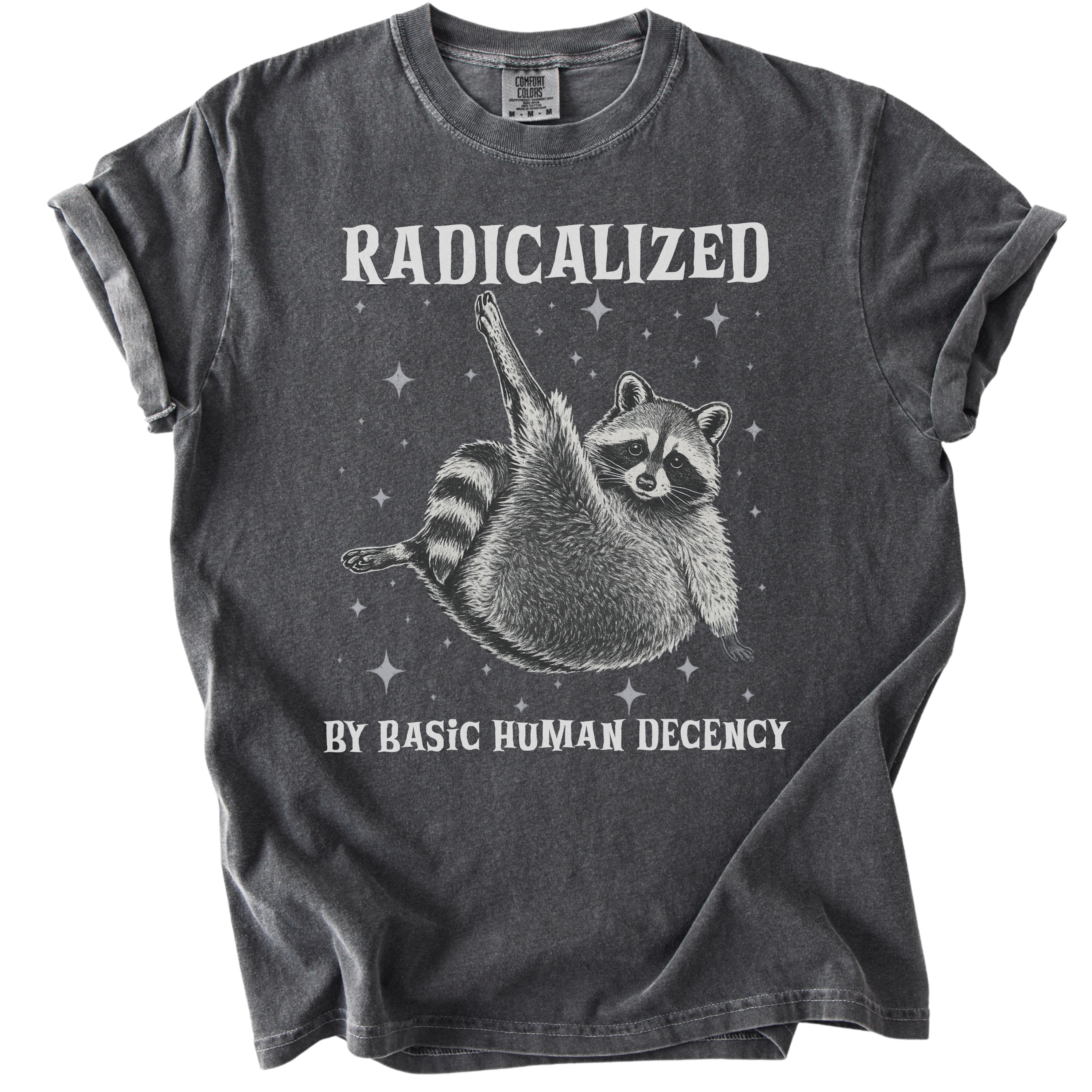 Raccoon Radicalized by Basic Human Decency Tee