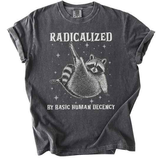 Raccoon Radicalized by Basic Human Decency Tee