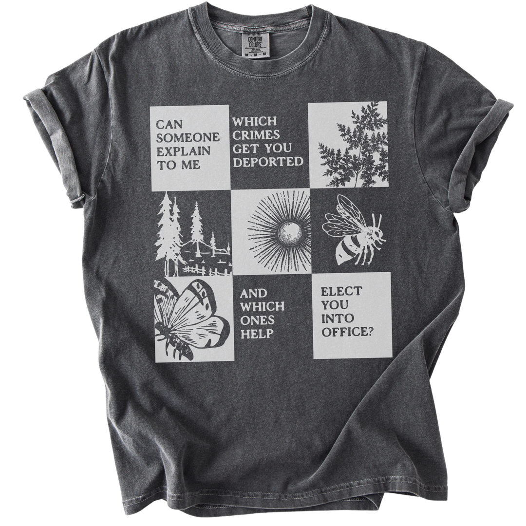 Which Crimes Get You Deported Vs Elected Tee