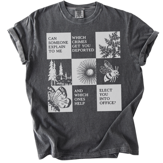 Which Crimes Get You Deported Vs Elected Tee