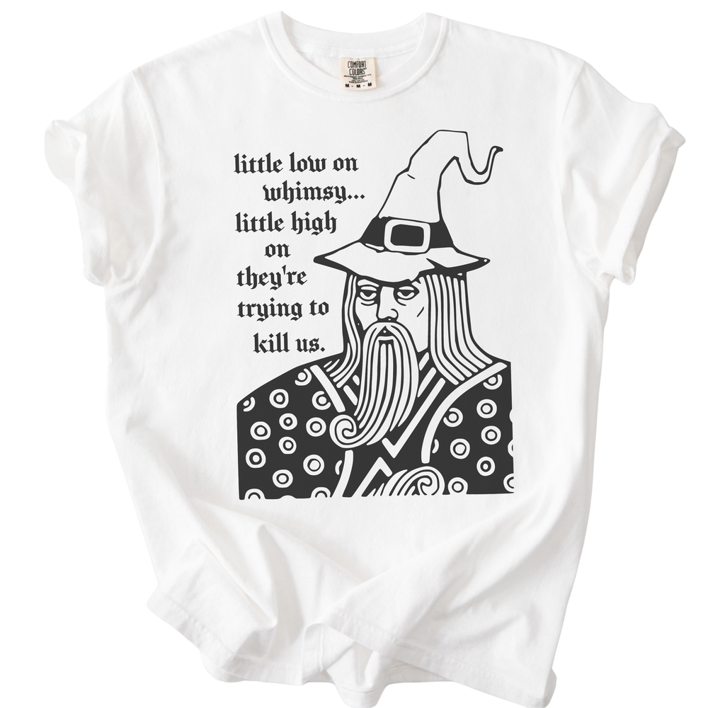Little Low on Whimsy Wizard Tee