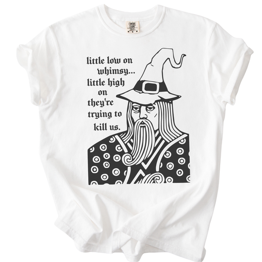 Little Low on Whimsy Wizard Tee