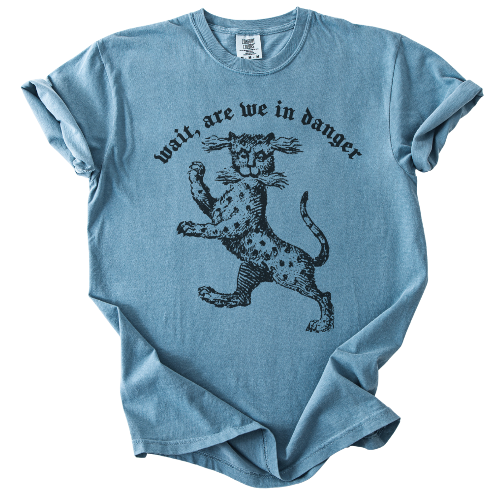 Wait, Are We in Danger Tee