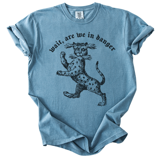 Wait, Are We in Danger Tee