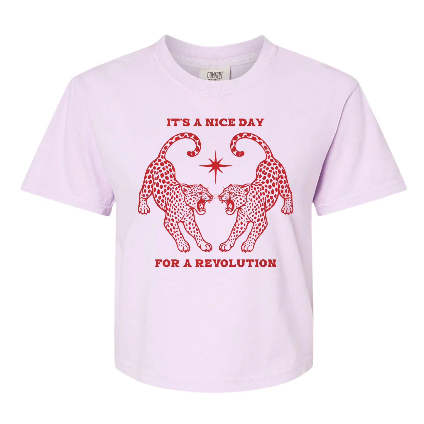 Nice Day For A Revolution Women's BOXY Tee