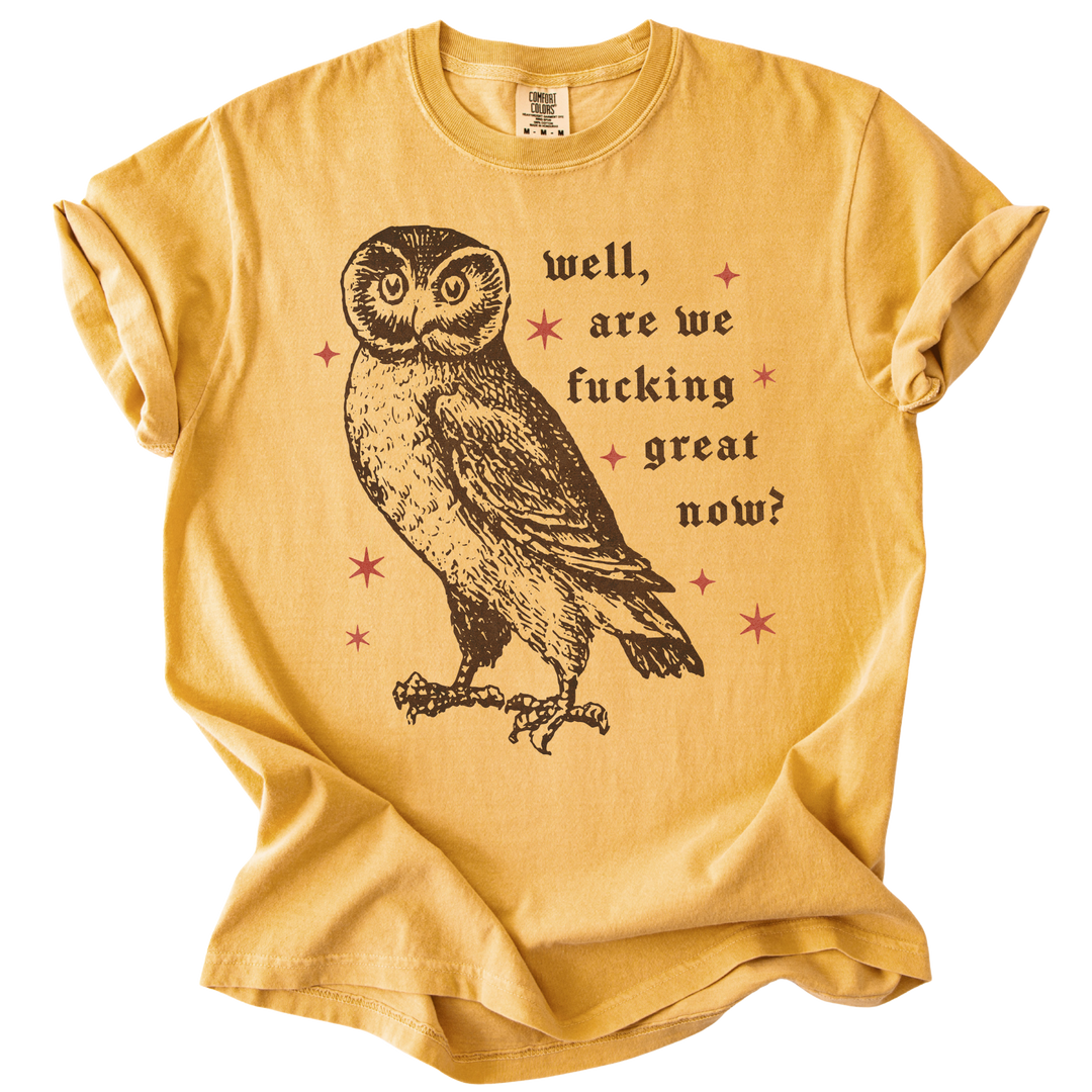 Well, Are We Fucking Great Now? Tee