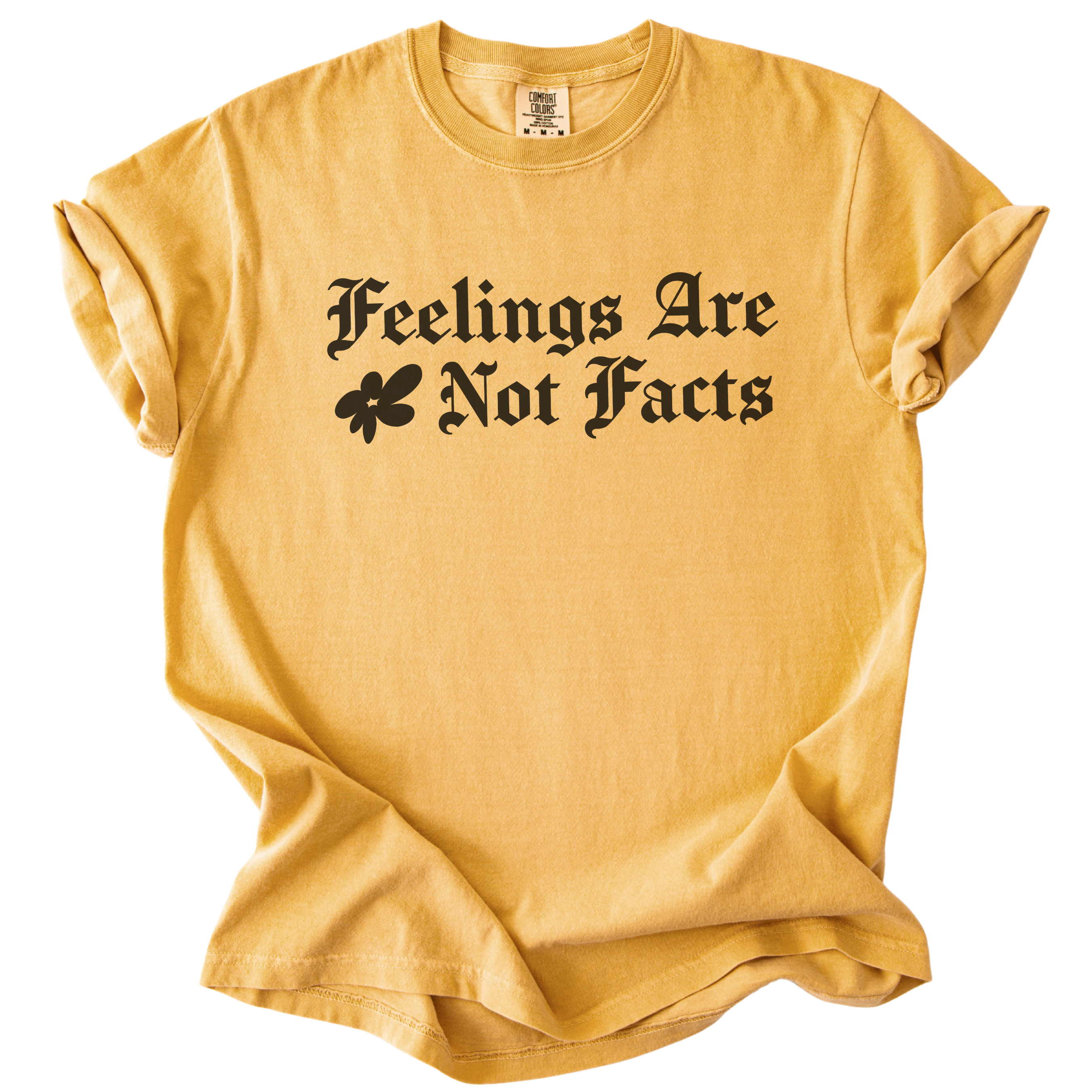 Feelings Are Not Facts Tee