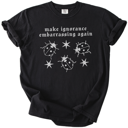 Ladybug Make Ignorance Embarrassing Again Tee