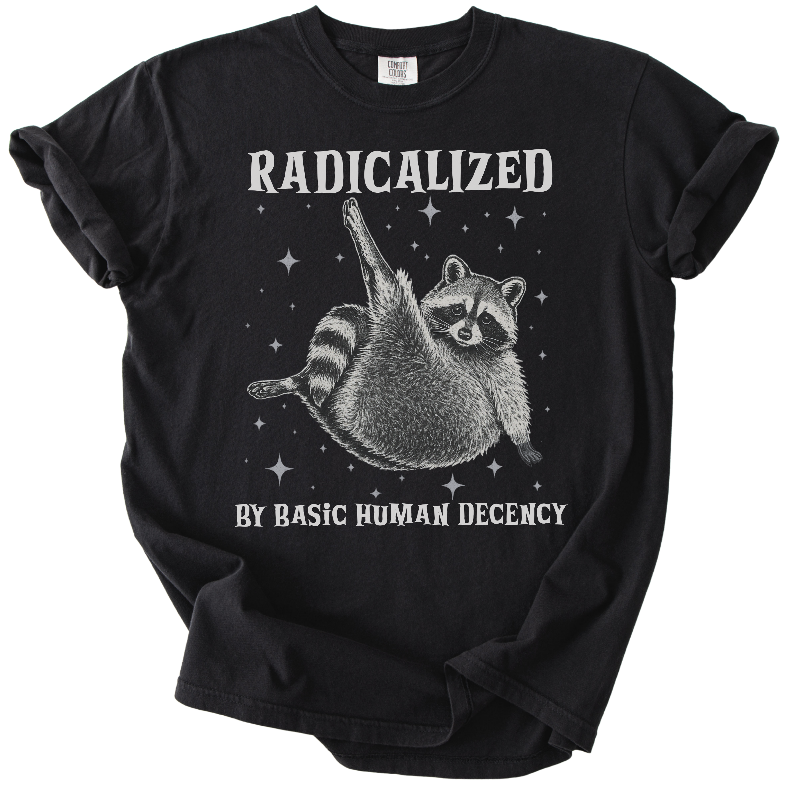 Raccoon Radicalized by Basic Human Decency Tee
