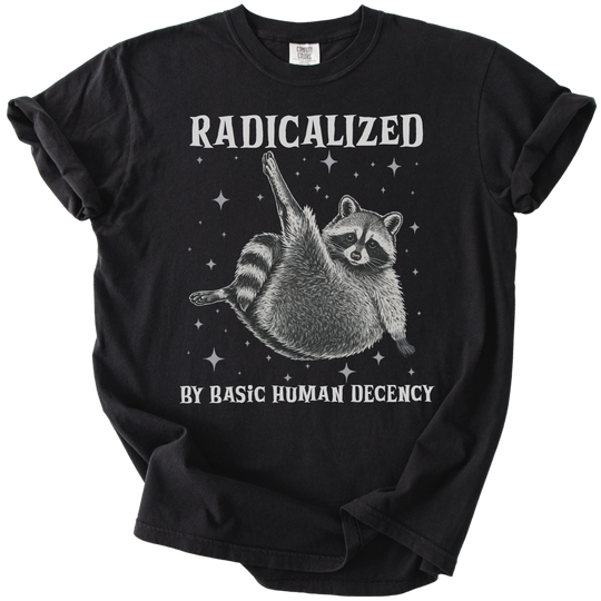 Raccoon Radicalized by Basic Human Decency Tee