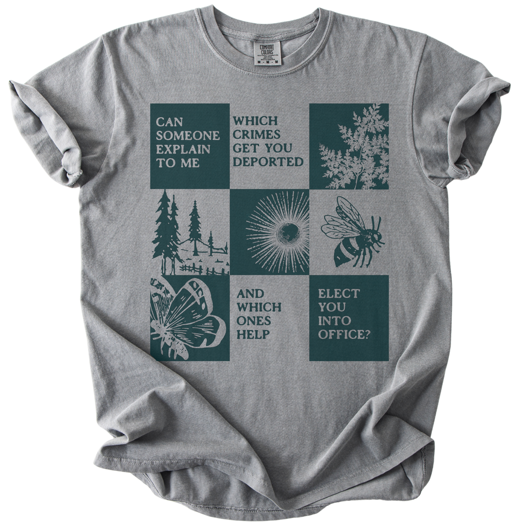 Which Crimes Get You Deported Vs Elected Tee