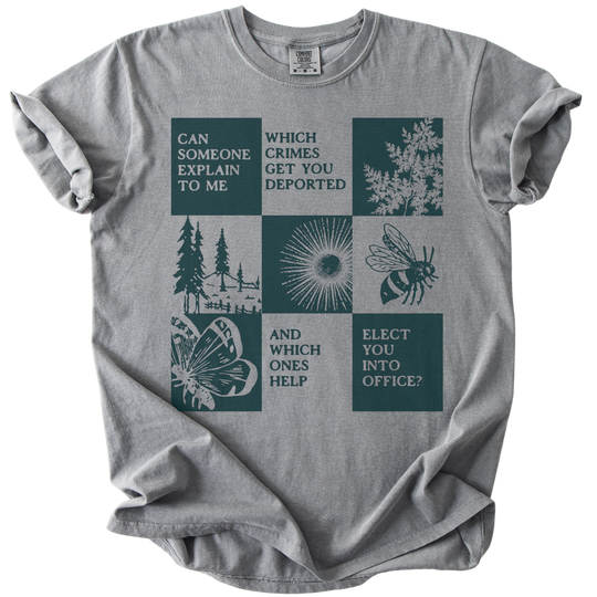 Which Crimes Get You Deported Vs Elected Tee