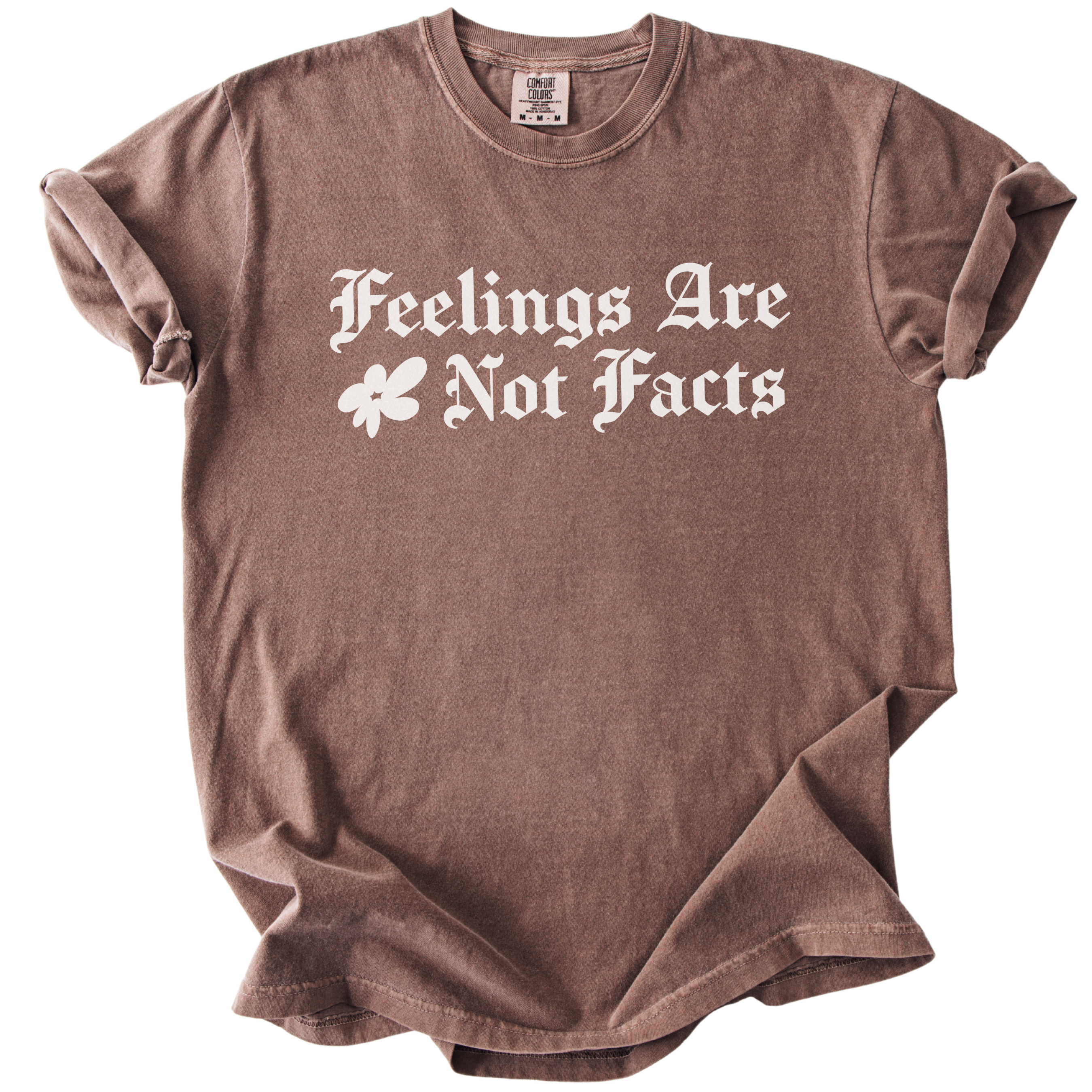 Feelings Are Not Facts Tee