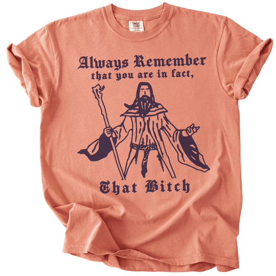 Always Remember You Are In Fact That Bitch Tee
