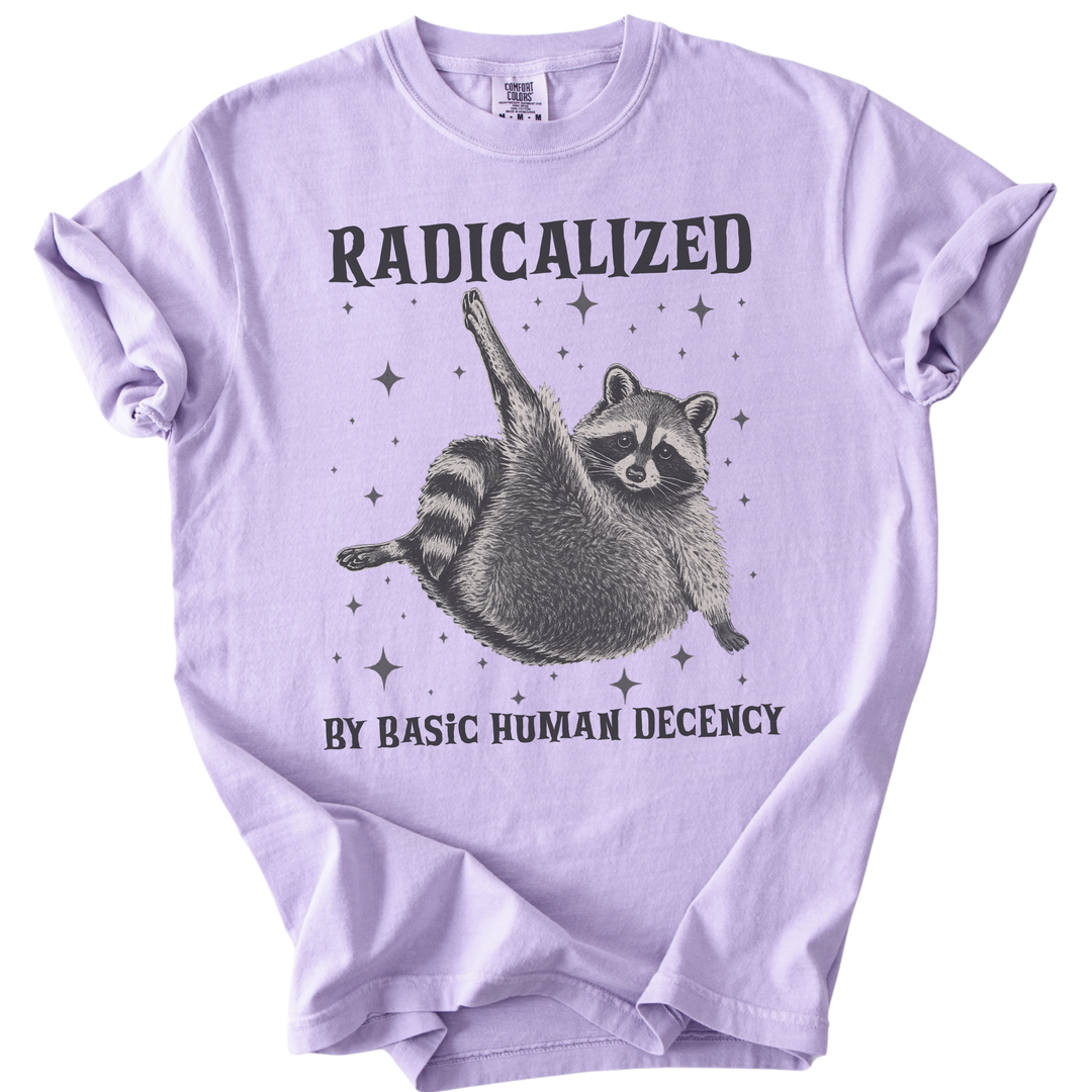 Raccoon Radicalized by Basic Human Decency Tee