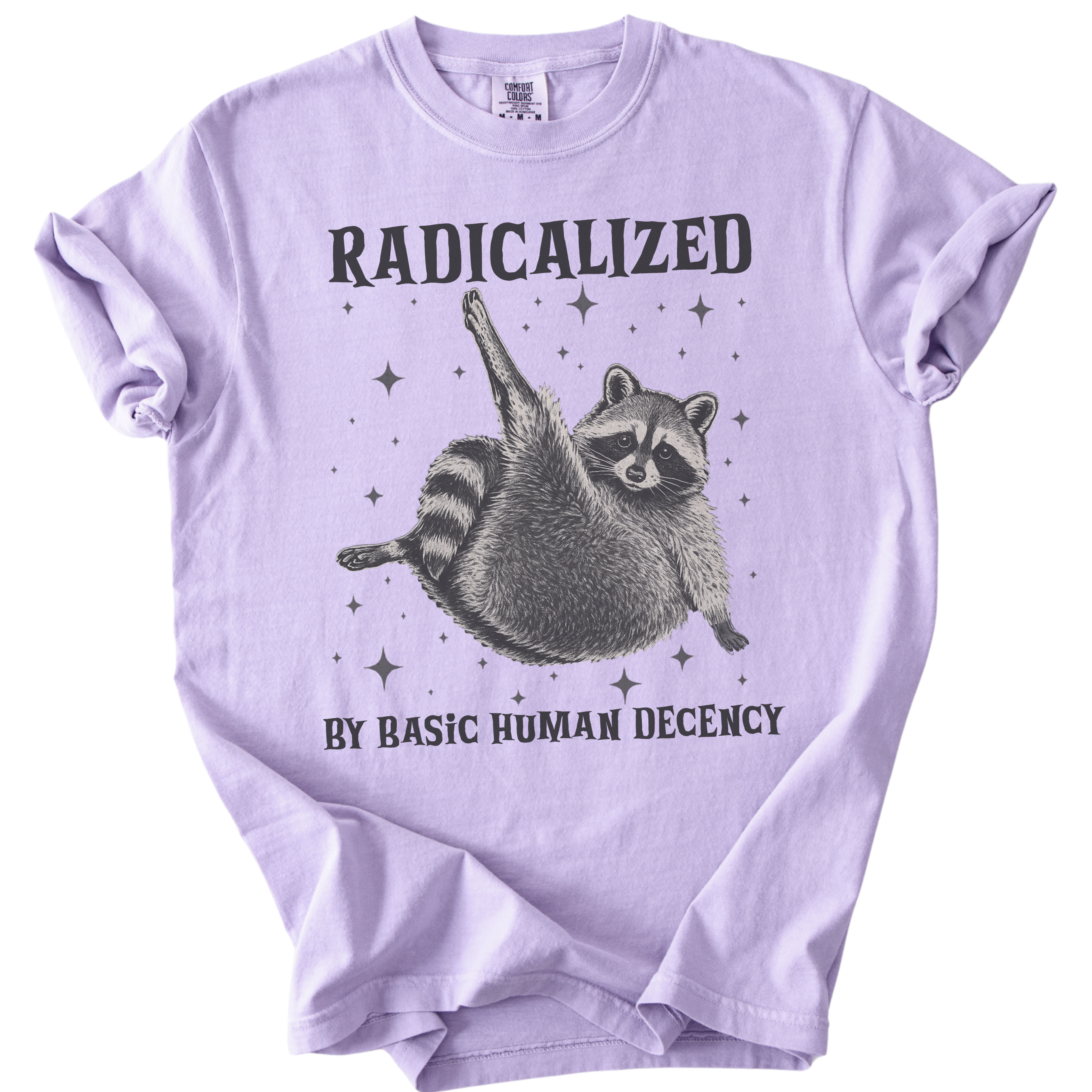 Raccoon Radicalized by Basic Human Decency Tee