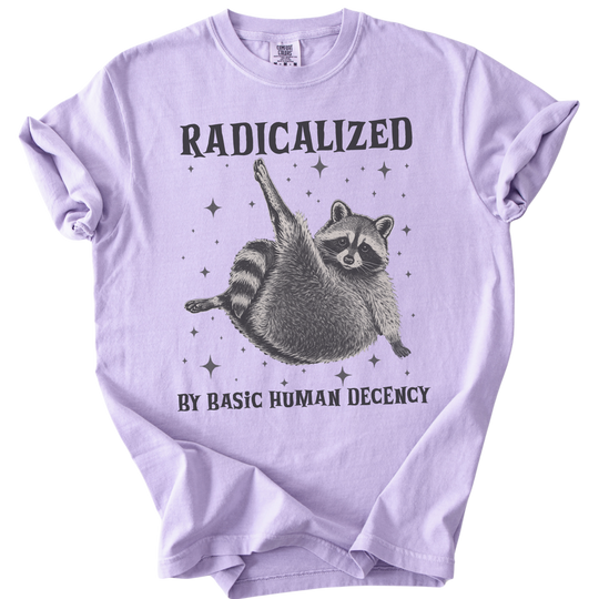 Raccoon Radicalized by Basic Human Decency Tee