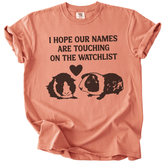 I Hope Our Names Are Touching On The Watchlist Tee